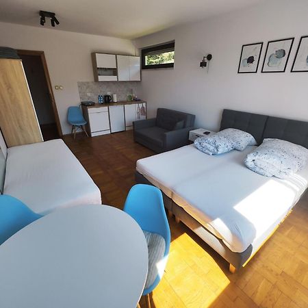 Apartamenty Monterska Bielsko-Biala Exterior foto